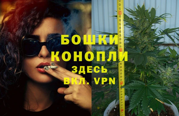 ECSTASY Дмитровск