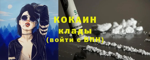 МДПВ Гусев