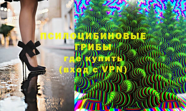 стаф Гусь-Хрустальный