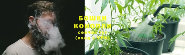 2c-b Дмитриев