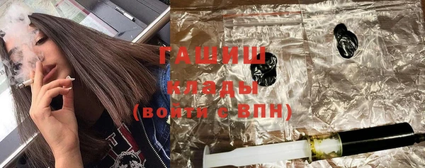 стаф Гусь-Хрустальный