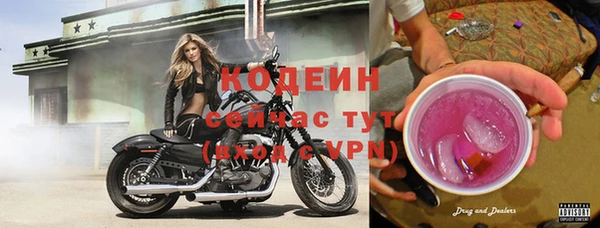стаф Гусь-Хрустальный